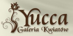 YUCCA logo